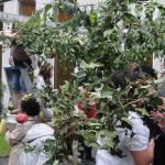 Construction de la Soukkah  et petit déjeuner