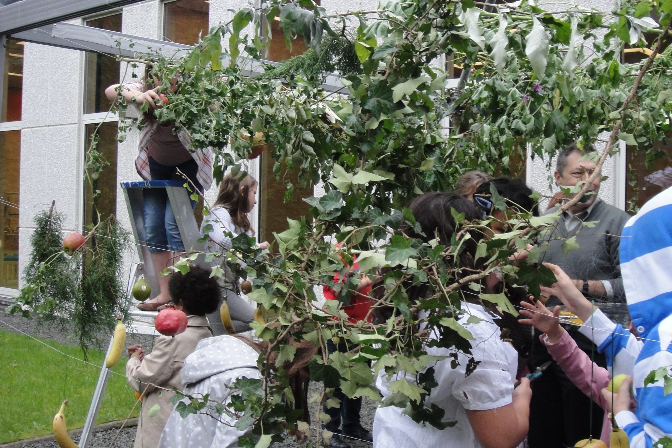 Construction de la Soukkah  et petit déjeuner